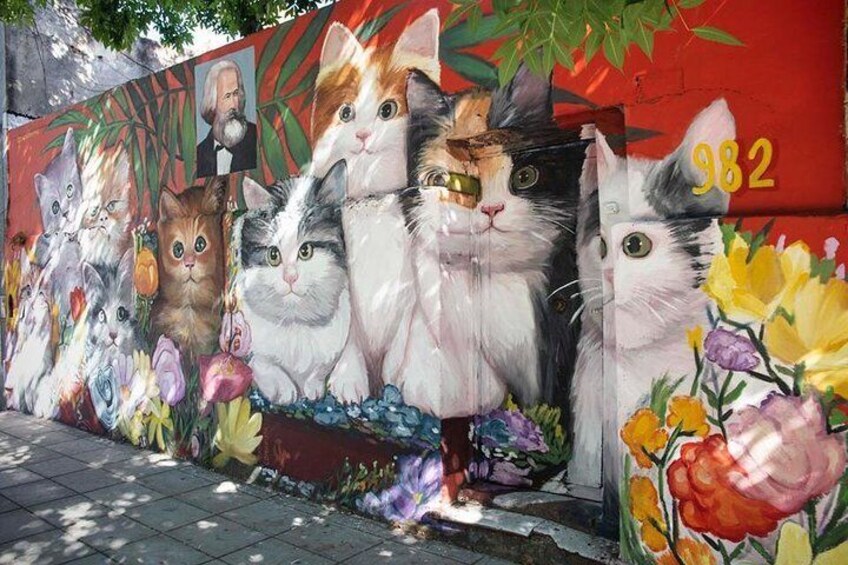 Ever's Cat's