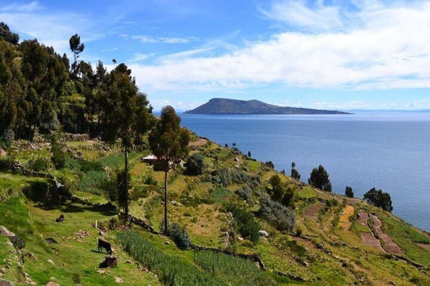 Lake Titicaca - Puno