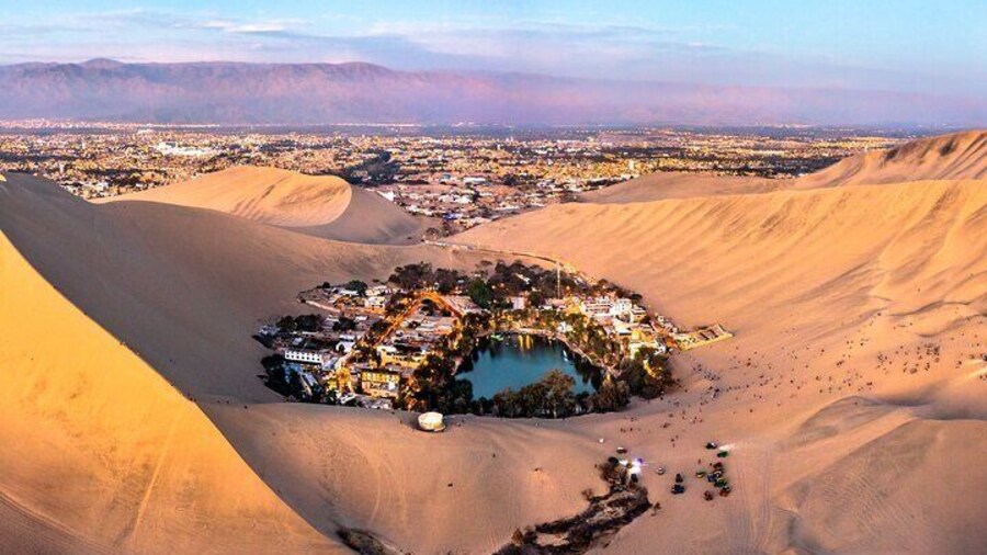 Huacachina Oasis & Mini-Galapagos! Most reviewed company in Peru! Luxury buses!