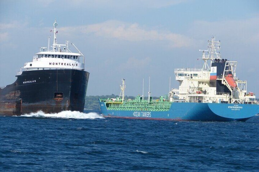  1000 Islands 90-minute Sightseeing Cruise