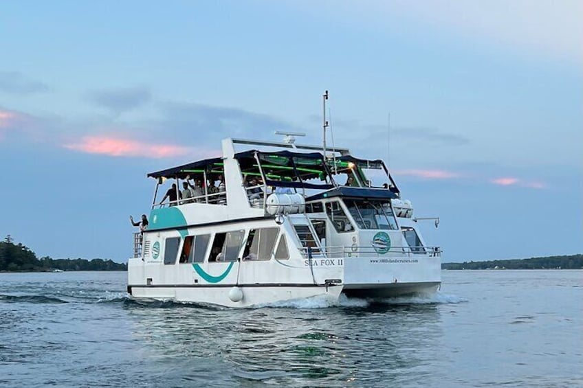 1000 Islands 90-minute Sightseeing Cruise