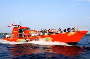 1000 Islands WildCat High-Speed Adventure Cruise