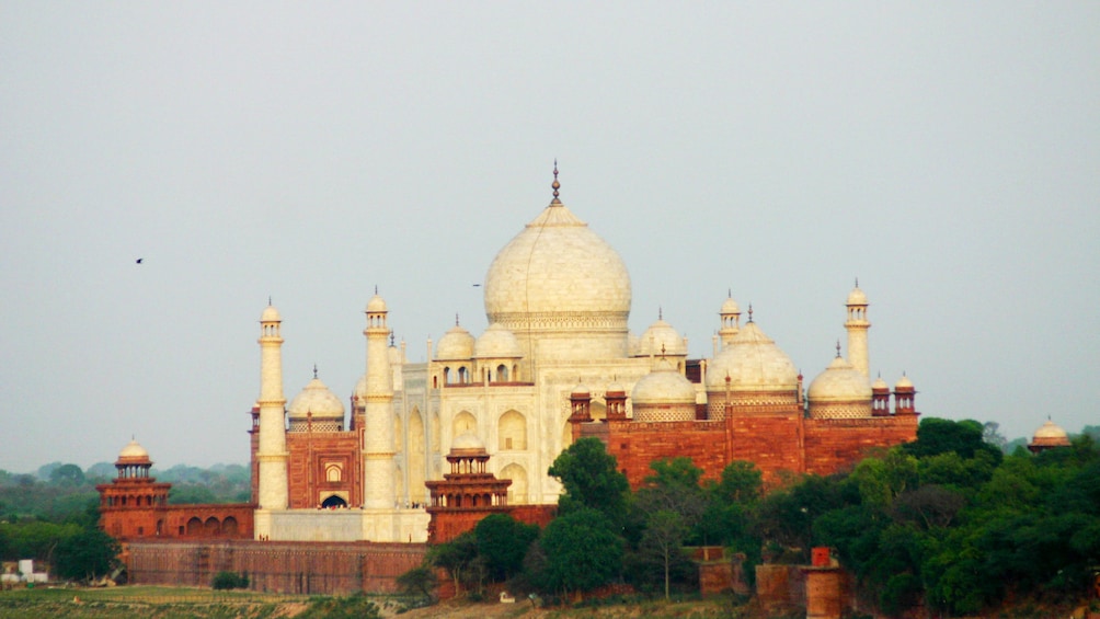 birds flying over the Taj Mahal