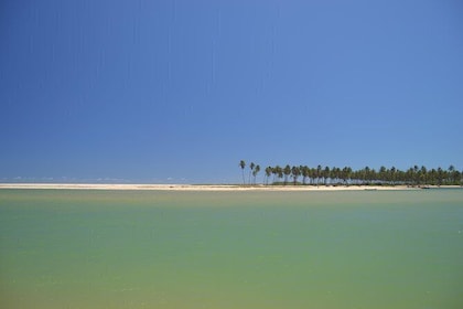 Costa de Camaçari Beach and Praia Tour