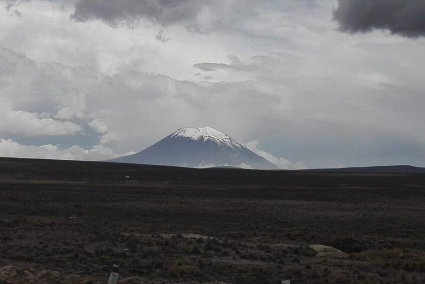 Colca Canyon Sightseeing Tour 2D1N and Transfer to Puno