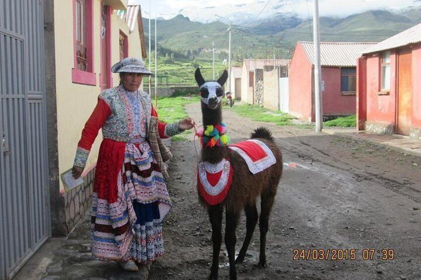 Typical woman from the Colca Canyon