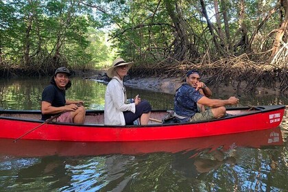 Private Wildlife Canoe Safari in the Mangrove forest.