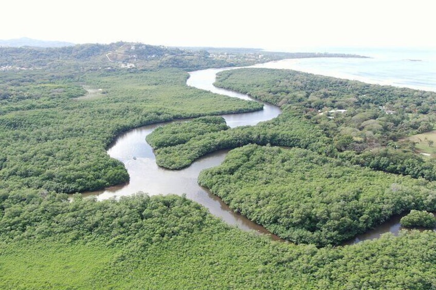 Private Wildlife Canoe Safari in the Mangrove forest.