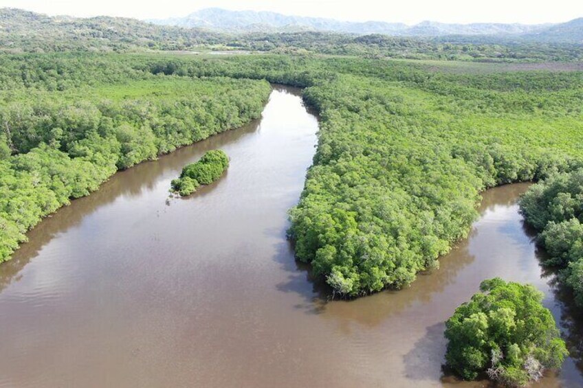 Private Wildlife Canoe Safari in the Mangrove forest.
