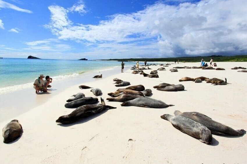 4 Day Galapagos Island Hopping Budget