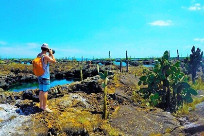 8-Day Machu Picchu & Galapagos Superior: Ultimate Bucket List Experience
