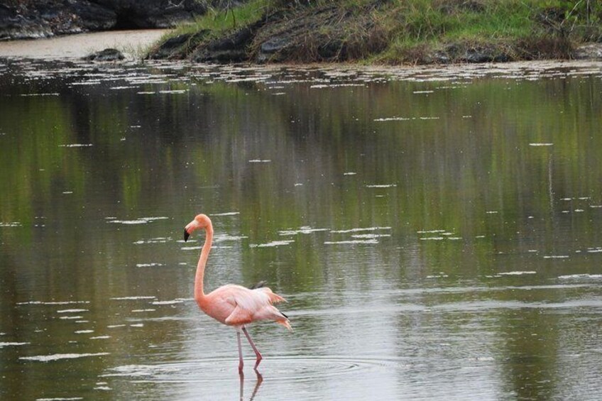 7-Day Galapagos Island Hopping Budget