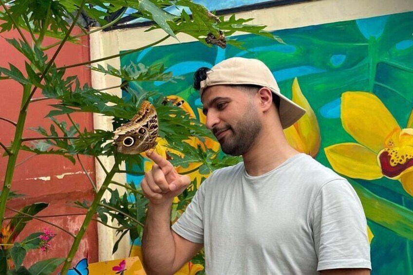 Tourist at the butterfly farm