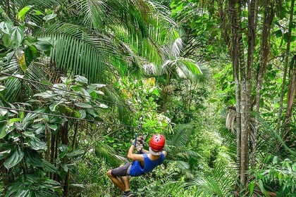 Private Mindo Forest Zip Lining, Chocolate Tasting and Equator Museum Tour 