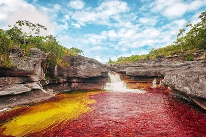 3-Day Caño Cristales Experience in Colombia