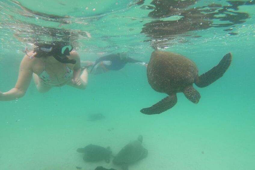 4-Day Galapagos Budget (+1 Optional Night)