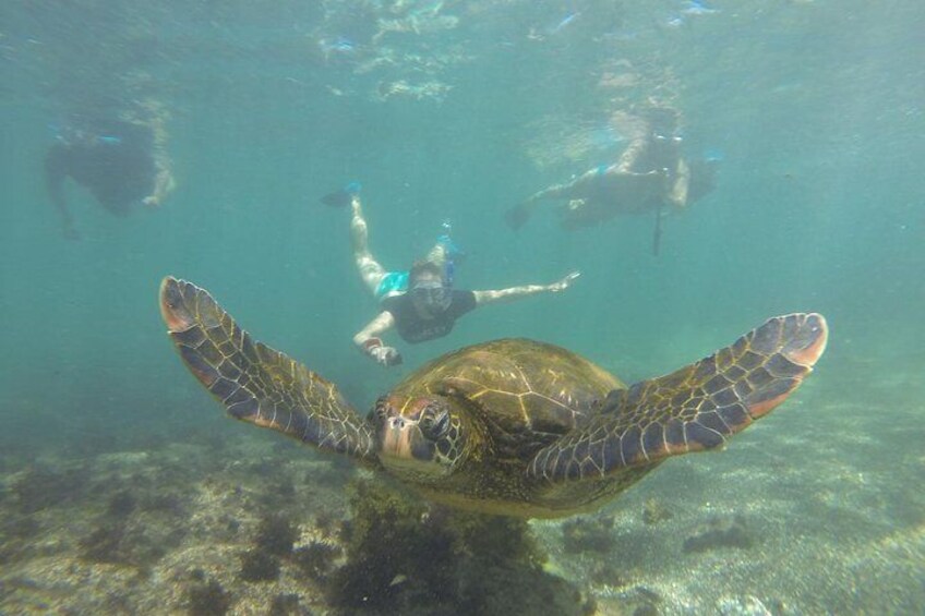 Los Tuneles Snorkeling