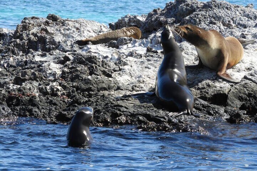 5 Day Galapagos Luxury