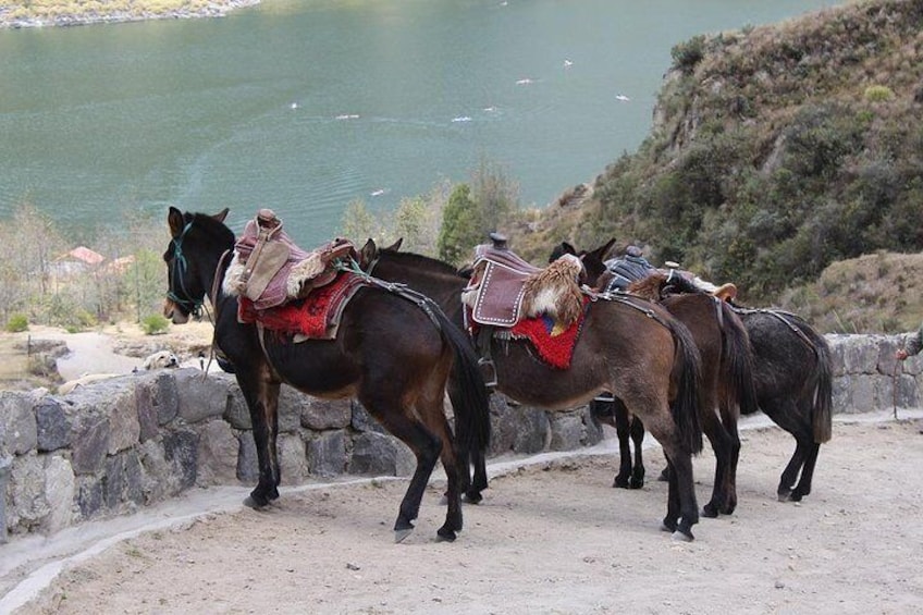 Quilotoa Private Day Tour