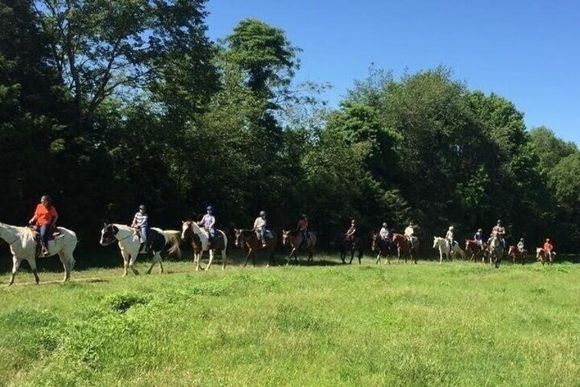 Memphis Horseback Trail Ride Tour