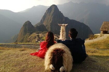 Private Tour To Machu Picchu Full Day