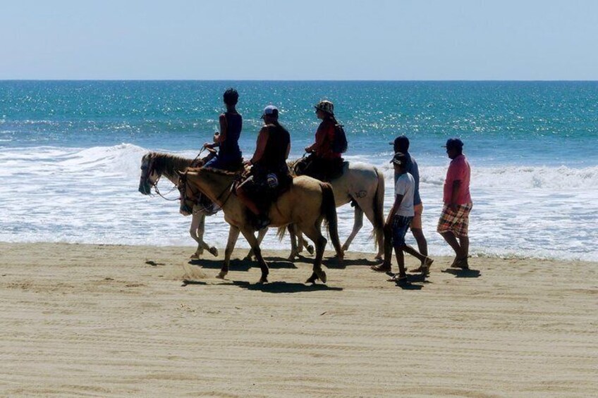 Beach Horseback Riding