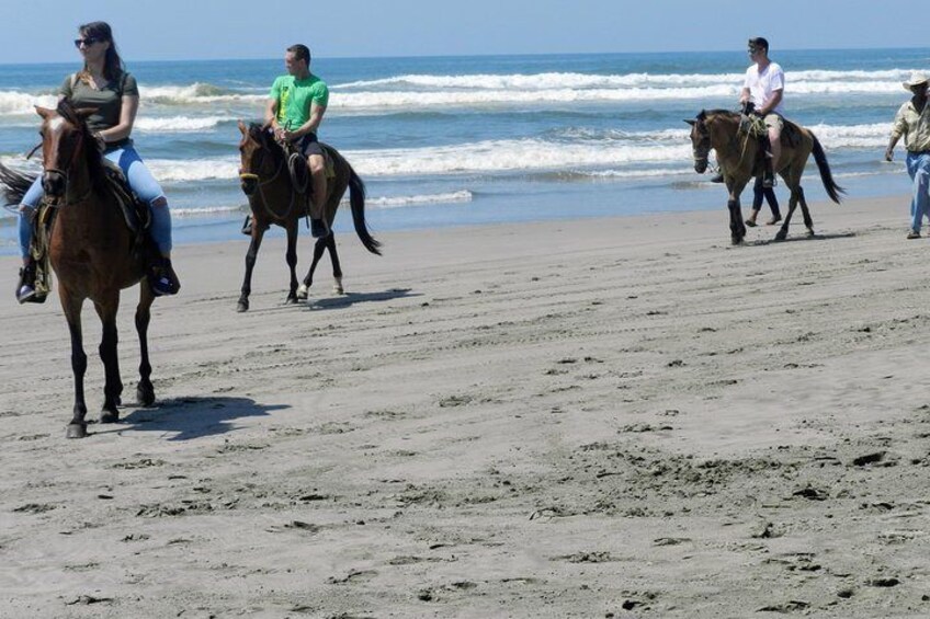 Beach Horseback Riding - Crocs - Cliff Divers - Shopping - Mex Lunch & Drinks