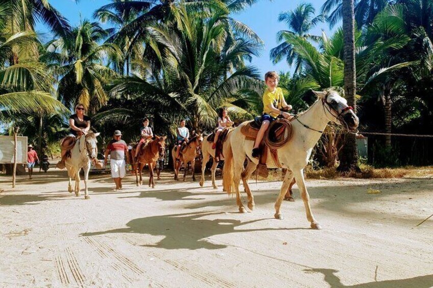 ✨AfroMexican Village BEACH HORSEBACK RIDING-Crocs-Cliff Divers & City Tour-Lunch