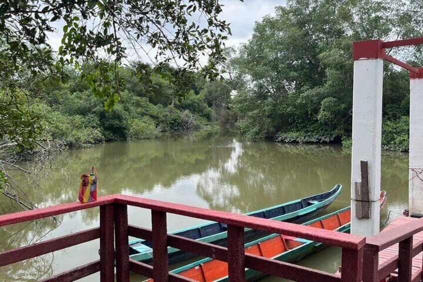 Churute Mangrove Ecological Reserve and Cocoa Farm