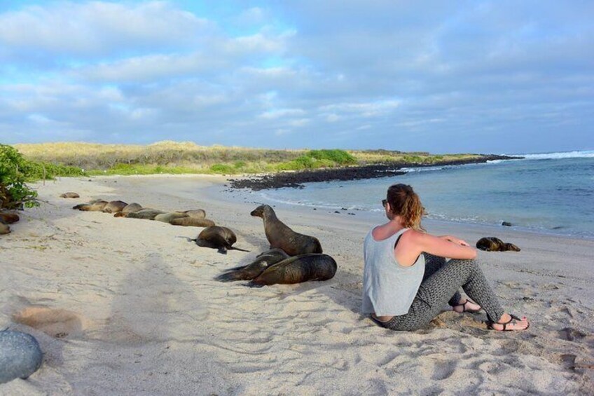 Local fauna in the island