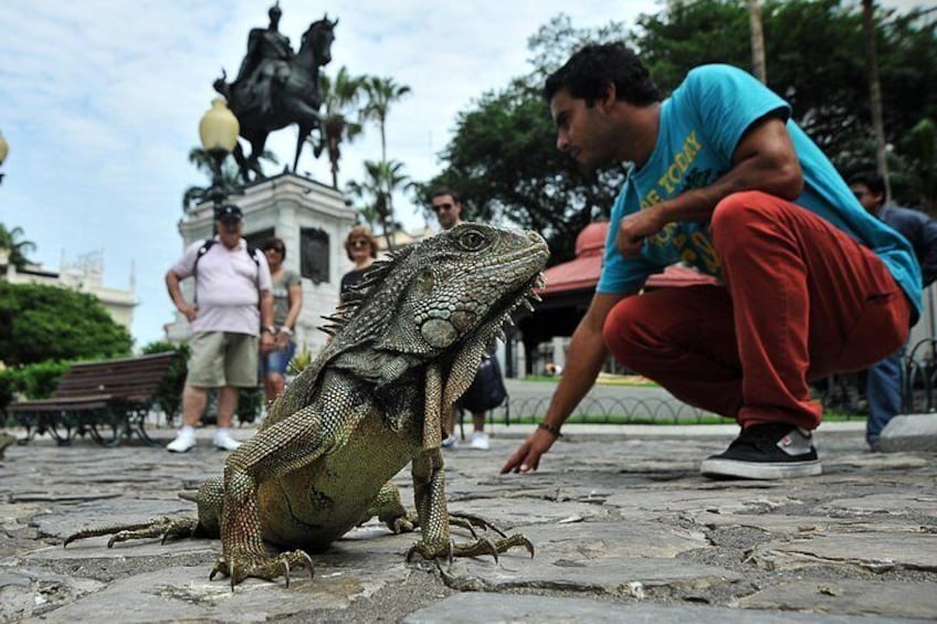 Ecuadorian Experience Guayaquil-Galápagos 8 Days 7 Nights