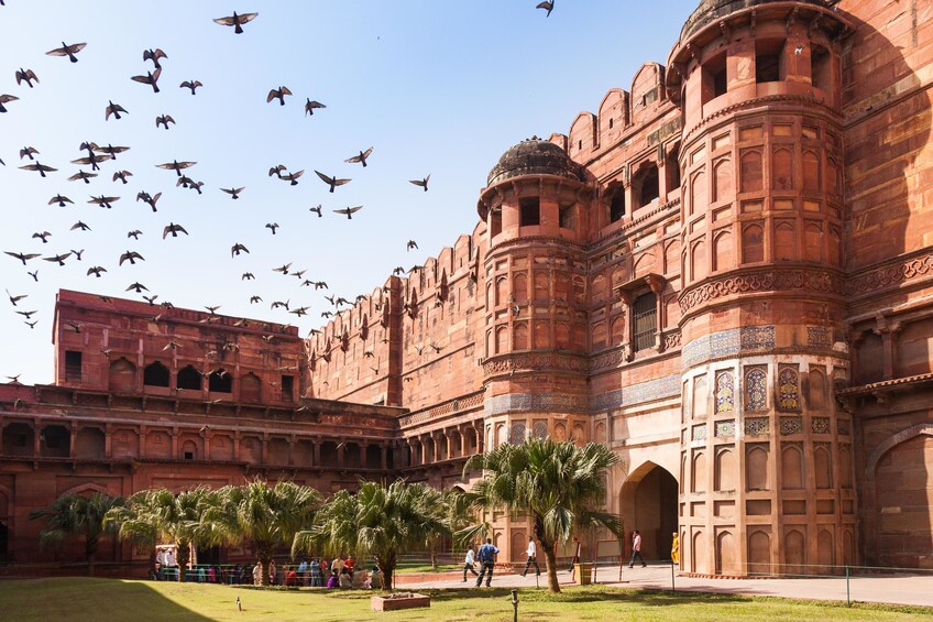 Private Half-Day Tour of Taj Mahal & Agra Fort from Agra