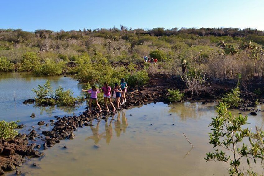 Bay Tour in Santa Cruz - Galapagos Islands