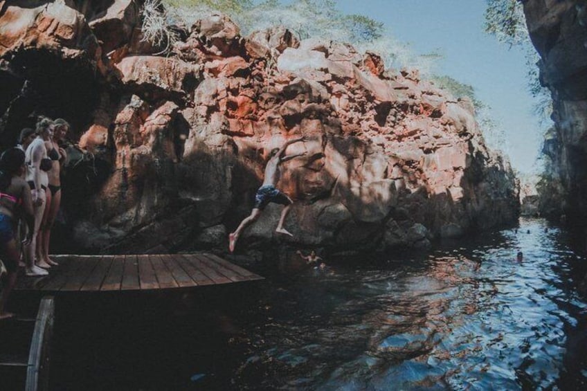 Bay Tour in Santa Cruz - Galapagos Islands