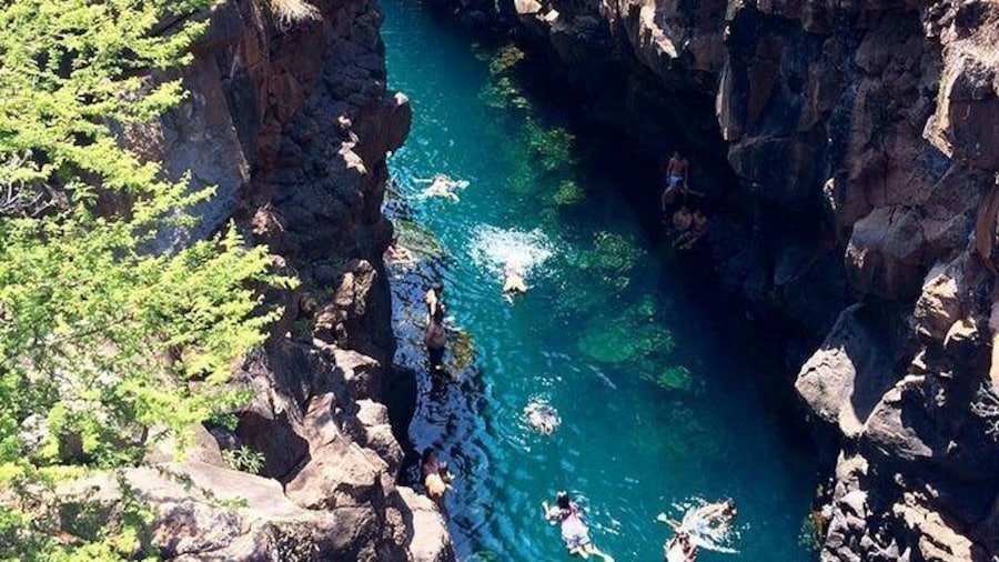 Bay Tour in Santa Cruz - Galapagos Islands