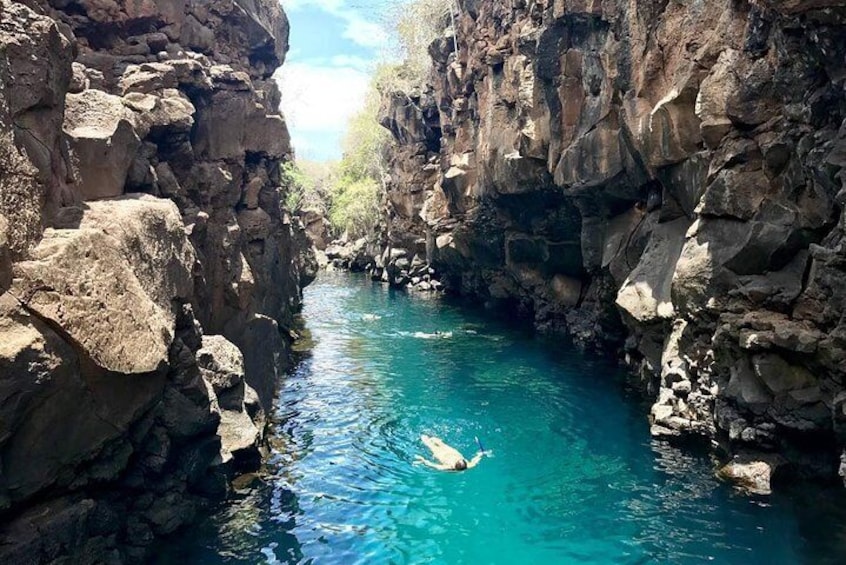 Bay Tour in Santa Cruz - Galapagos Islands