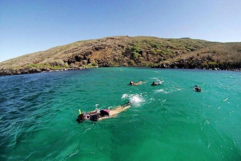 Snorkeling activities in this tour