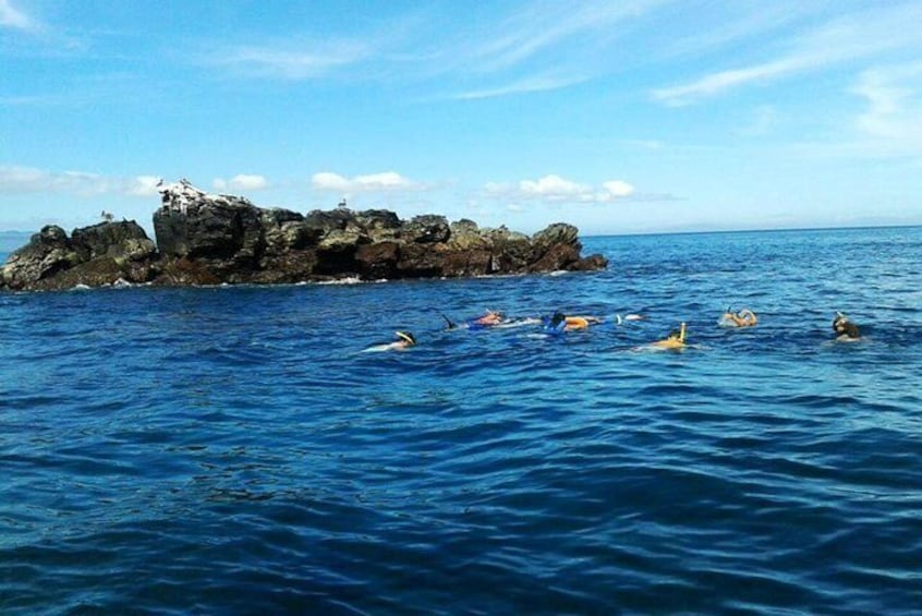 Snorkeling activities in this tour
