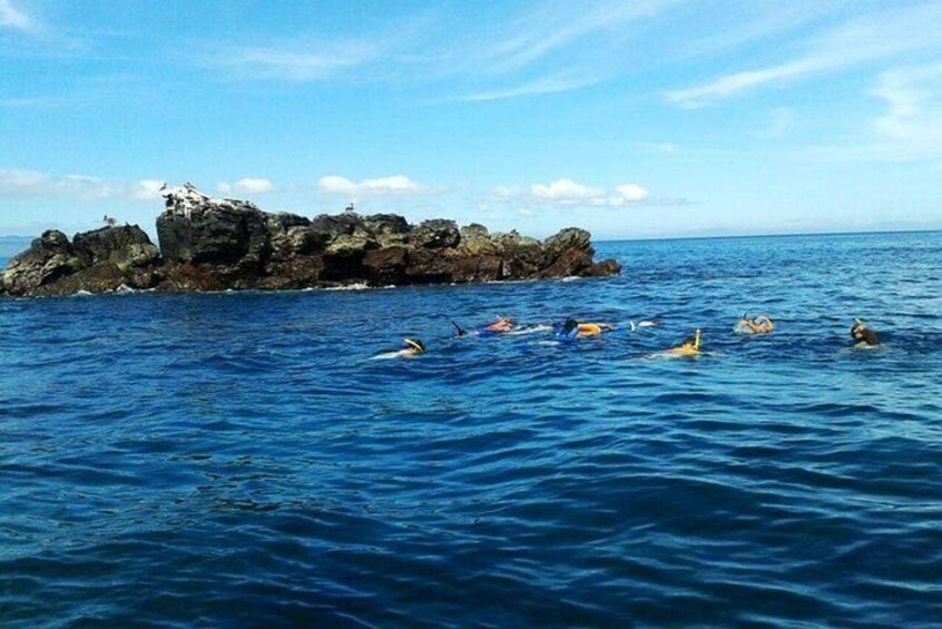 Snorkeling activities in this tour