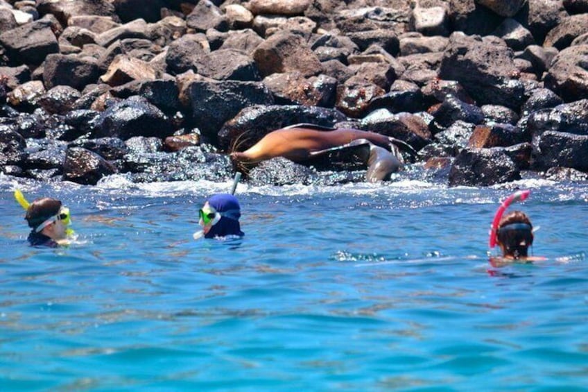 Snorkeling activities in this tour