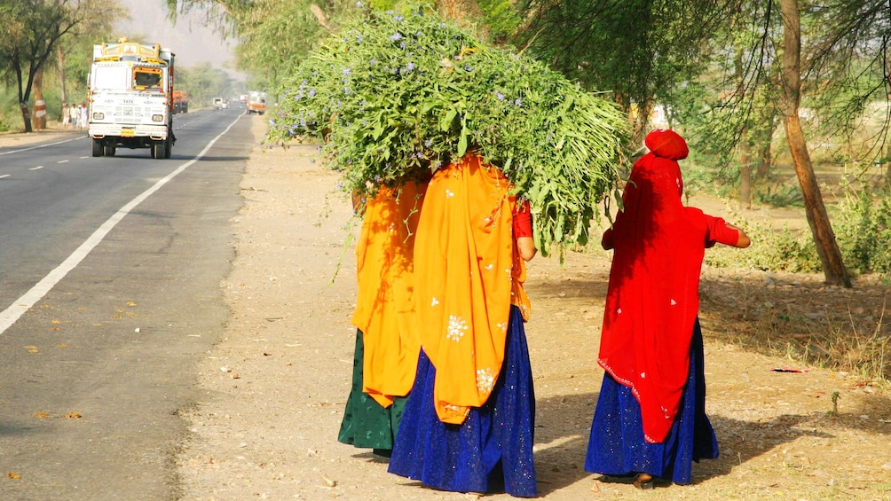 Women in traditional clothes carrying bushels of produce near Fatehpur Sikri