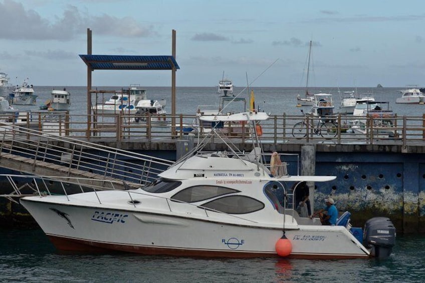 Transfer from Santa Cruz Island to Isabela Island