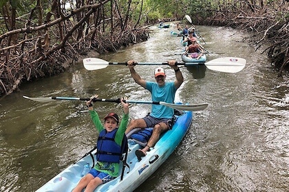 Recorrido ecológico guiado en kayak por los manglares en la reserva de Rook...