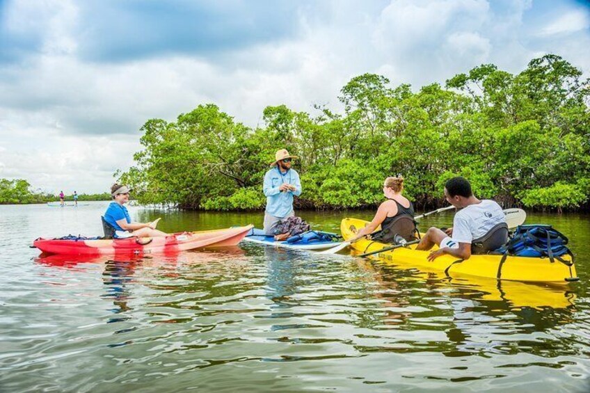 Guide showing different wildlife and explaining the ecosystem