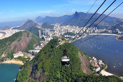Private Sugarloaf Mountain and Tijuca Forest Tour