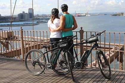 Electric Bike Tour of Central Park and Waterfront Greenway