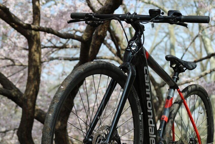 Electric Bike Tour of Central Park and Waterfront Greenway