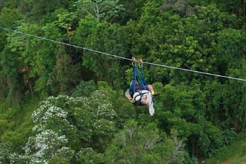 La Bestia Zipline in Toroverde Adventure Park