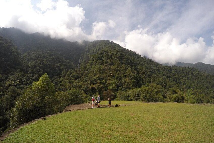 Nature