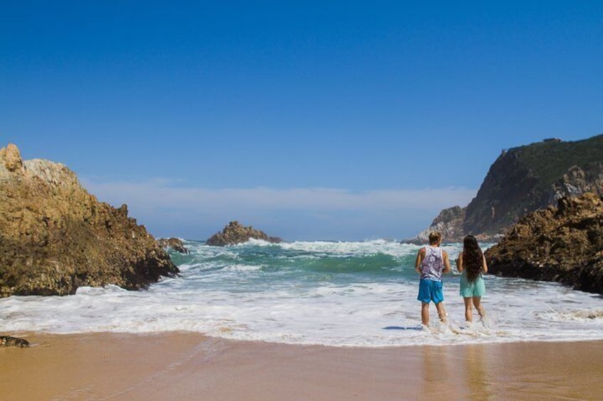 Explore The Garden Route - 4 Days